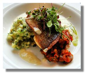 Black Sea Bream