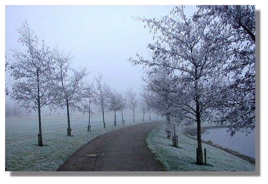 Frost and Mist