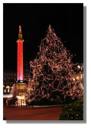 Christmas Tree and Sir Walter Scott's Column