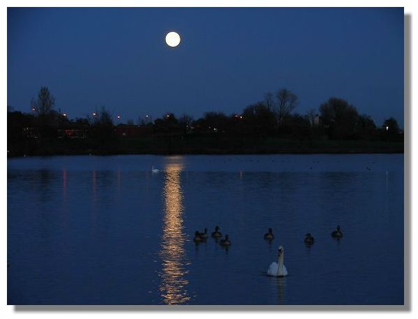 Hogganfield Loch by Moonlight
