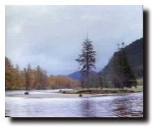 River Dee