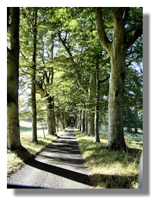 Drummond Castle Driveway