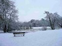 Bearsden - Kilmardinny Loch in the Snow