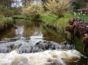 Geilston Garden, Cardross