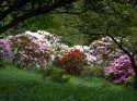 Geilston Garden, Cardross