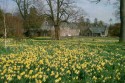 Geilston Garden, Cardross