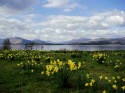 Loch Lomond From Ross Priory