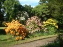 Ross Priory Garden