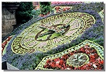 Floral Clock