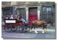 Horse-drawn Taxi
