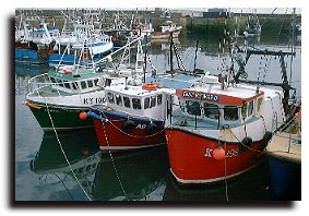 Fishing Boats at Pittenweem