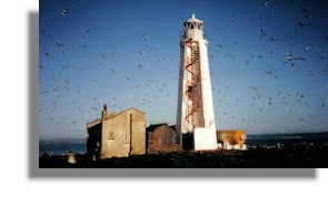 Lady Isle Lighthouse