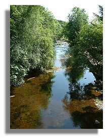 Allan Water at Braco