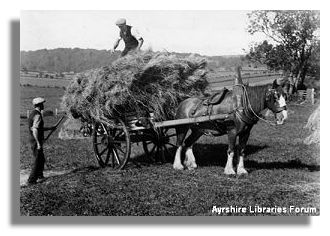 Ayrshire Farming