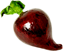 Beetroot