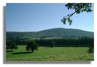 Scottish Countryside in Perthshire