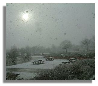 Snowstorm