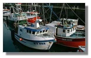 Fishing Boats