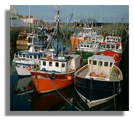 Fishing Boats