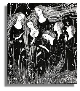 Garden by Hannah Frank