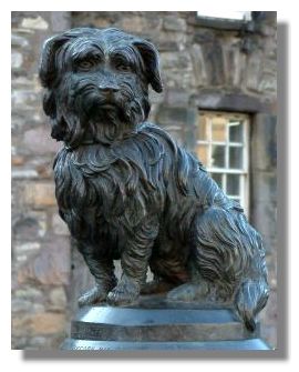Japanese Loyal Dog