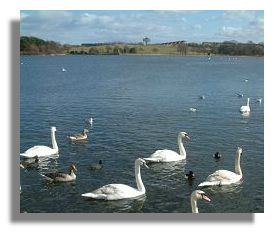 Hogganfield Loch