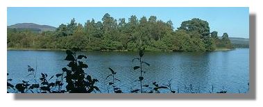 Loch of Lowes Nature Reserve