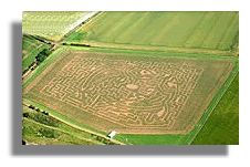 Fishwick Mains Amazing Maize Maze