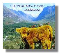 The Real Misty Moo