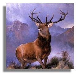 Monarch of the Glen