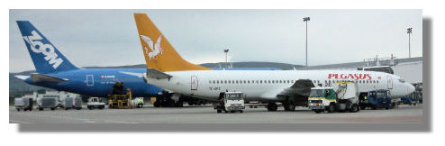 Pegasus and Zoom Aircraft