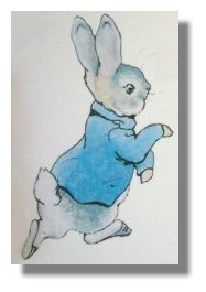 Peter Rabbit