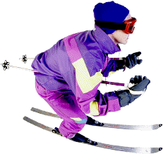 Skier