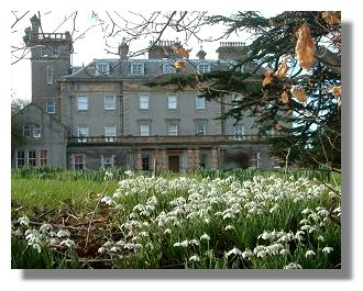 Snowdrops at Finlaystone House
