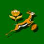 Springboks