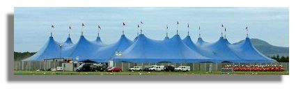 T In The Park Festival at Balado