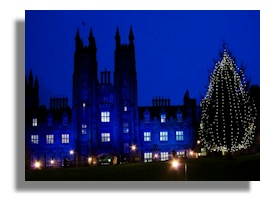 Christmas Tree and Assembly Hall