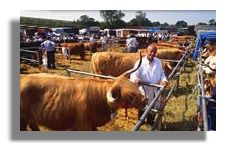 Turriff Show
