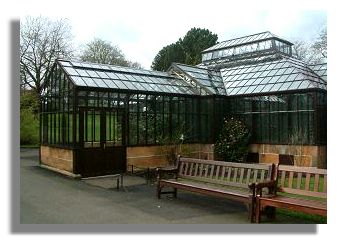 Greenhouse, Botanic Gardens, Kelvingrove
