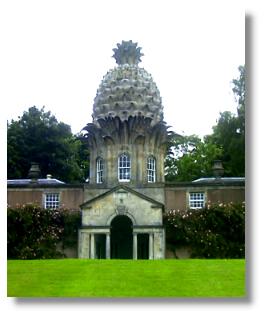 Dunmore Pineapple