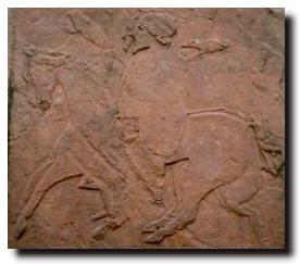 Pictish Stone at Foulis Wester