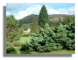 Benmore Gardens