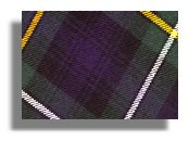 Campbell of Argyll Tartan