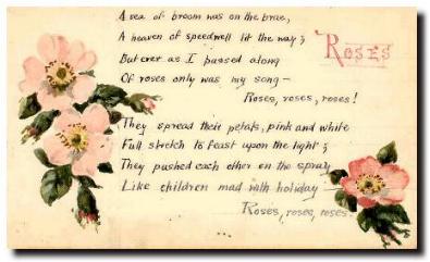 scottish poetry selection roses
