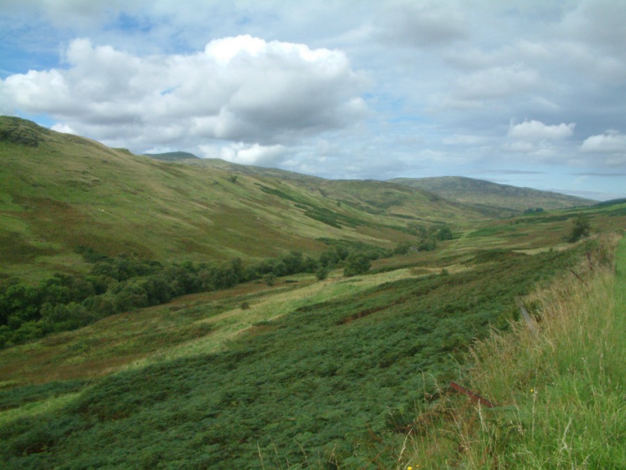 Clyde Muirsheil Regional Park