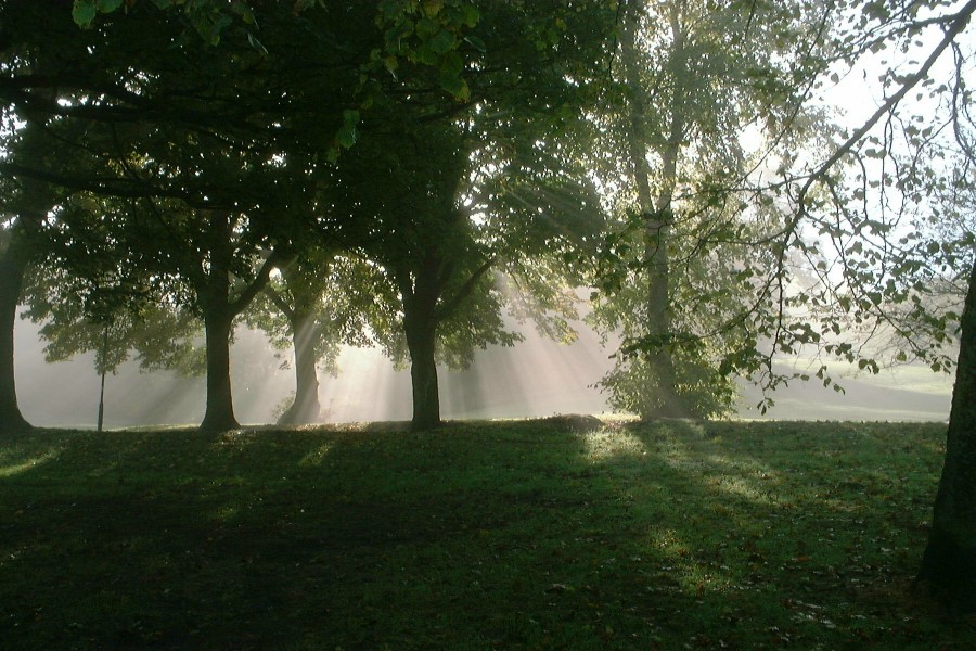 Eaglesham Planned Village - Sunlight