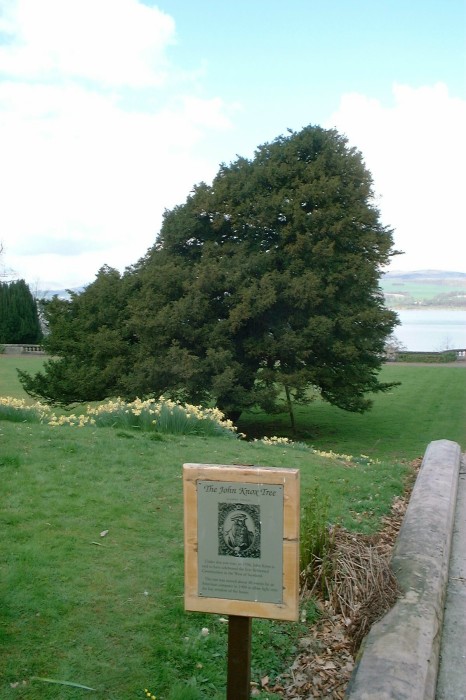 Finlaystone Country Estate - John Knox Preached Under This Yew