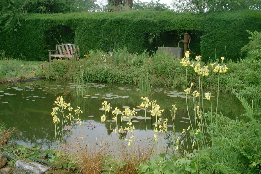 Greenbank Garden Fishpond