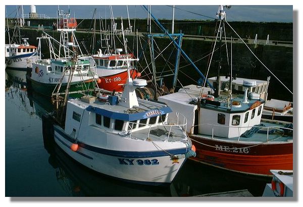 Fishing Boats, Pittenweem