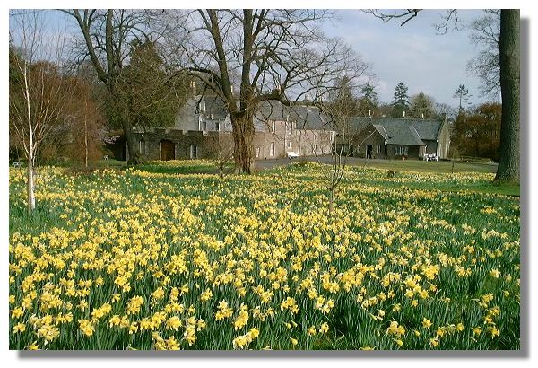 Geilston Garden, Argyll